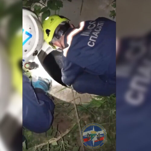 Новосибирские спасатели вытащили пса из колодца