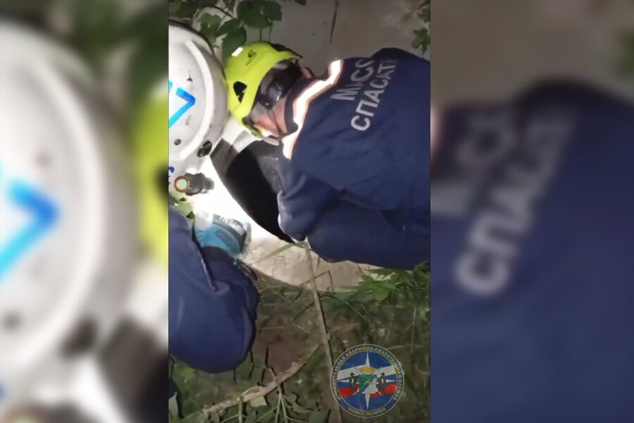 Новосибирские спасатели вытащили пса из колодца