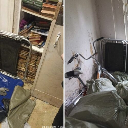 Горы мусора и 20 кошек вывезли из квартиры пенсионерки в Новосибирске