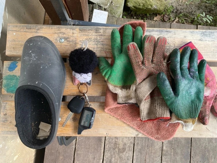 Кошка-клептоманка украла ключи от новой машины и принесла в дом