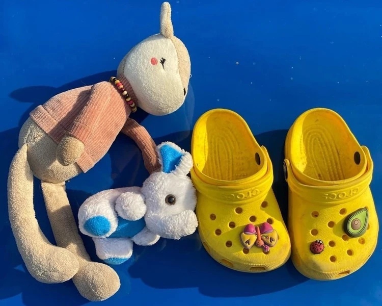 Кошка-клептоманка украла ключи от новой машины и принесла в дом