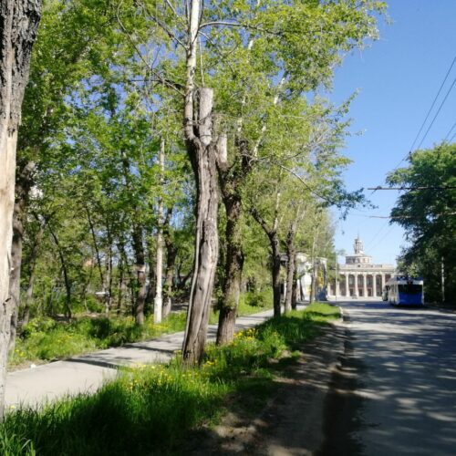 Сквер Артемьева в Новосибирске получит образное ядро из фильма «Солярис»