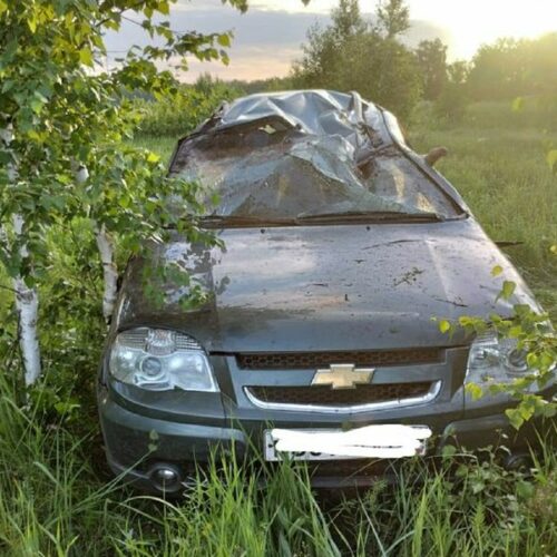 Водитель Нивы погиб в ДТП в Чановском районе Новосибирской области