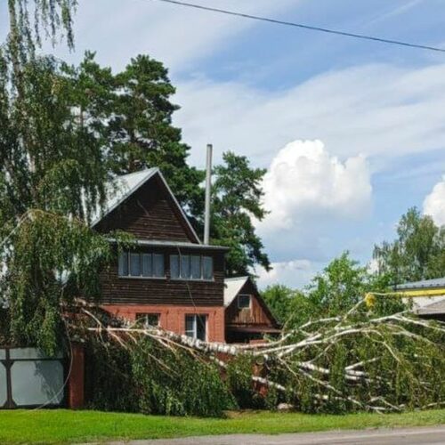 Мощный ураган оставил без света 7 тысяч жителей поселка под Новосибирском