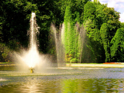 Валерий Науменко покинул пост директора «Горфонтана» в Новосибирске