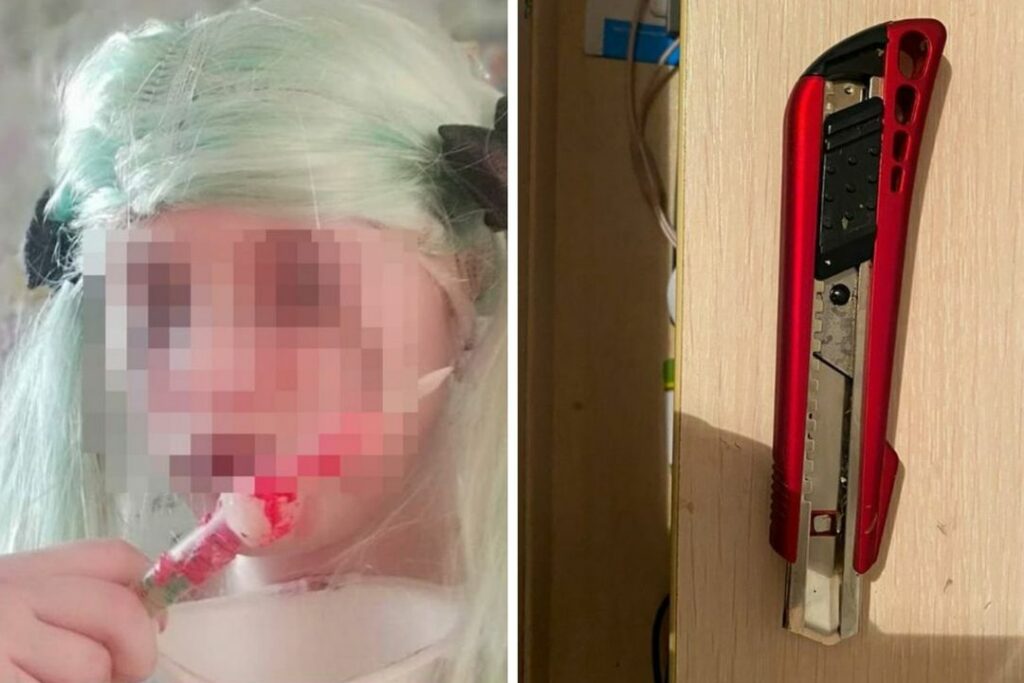 Школьница, порезавшая свою одноклассницу в лесу под Новосибирском, прошла экспертизу