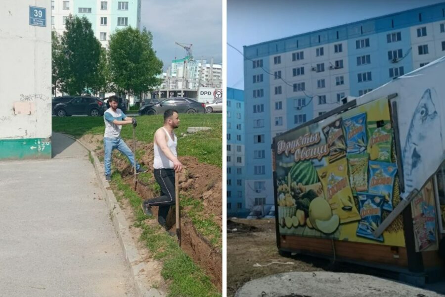 В мэрии Новосибирска прокомментировали действия мигранта-крота, прорывшего траншею к киоску