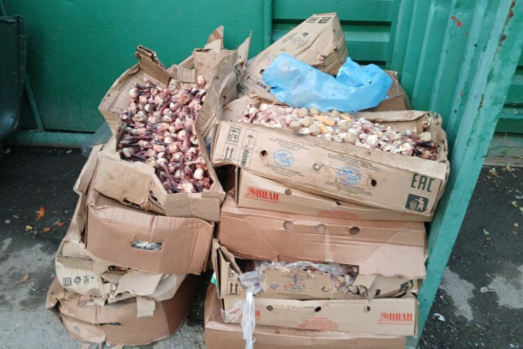 «Мы задыхаемся от зловония»: на свалку с останками животных пожаловались жители высоток в Новосибирске