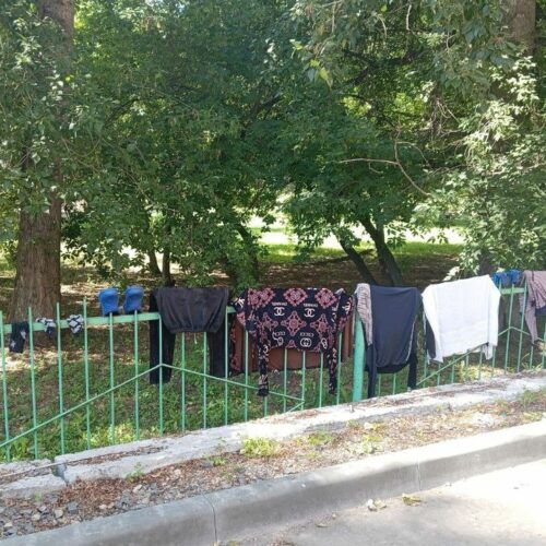 Мигрантка развешала постиранные вещи на забор школы в Новосибирске