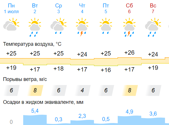 На смену палящему солнцу и аномальной жаре в Новосибирскую область придут дожди