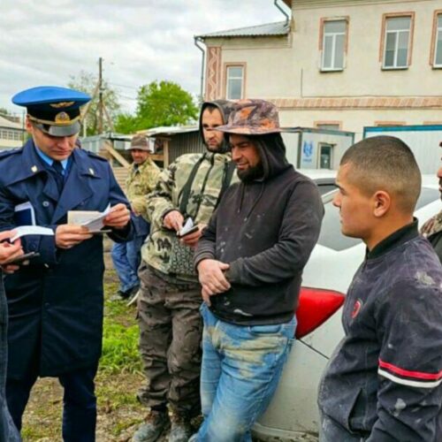 Еще 45 нелегальных мигрантов отправили на родину из Новосибирской области