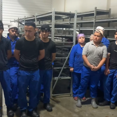 Нелегальных мигрантов задержали на птицефабрике под Новосибирском