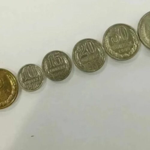 Коллекцию советских монет за 2,2 млн выставил на продажу житель Новосибирска