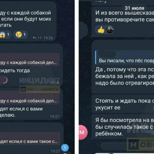 Женщина убила собаку, которая играла с ее ребенком под Новосибирском