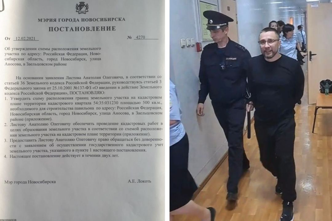 Мошенница-рецидивистка попалась на фиктивной продаже земли на 6 млн рублей в Новосибирске