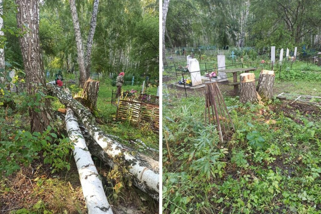 Жителям Старого Карапуза под Новосибирском угрожали кладбищенские березы