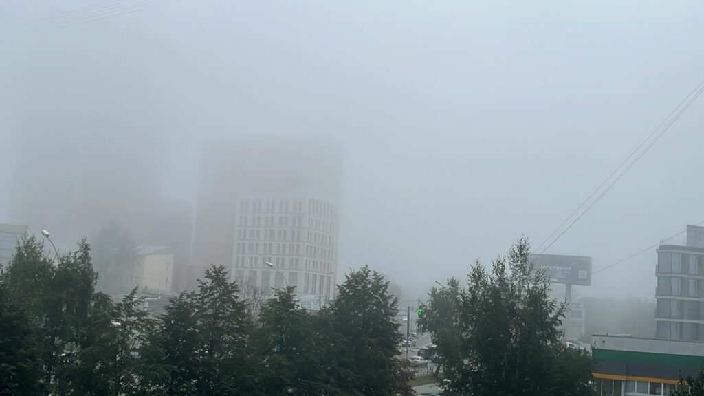 Густой туман накрыл Новосибирск утром 29 августа