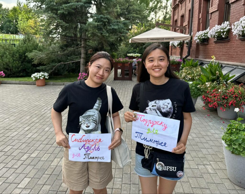 Манулу Тимофею из Москвы сватают Адель из Новосибирска