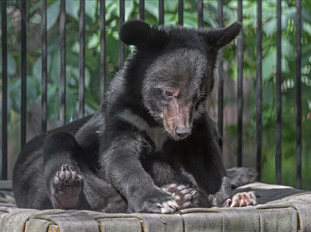 На новый режим работы перешел зоопарк в Новосибирске