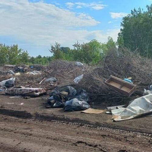 Две незаконные свалки ликвидировали в Новосибирской области