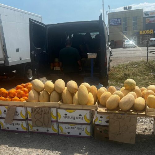 Четыре грузовика и 6 тонн бахчевых отобрали у мигрантов-торговцев в Новосибирске