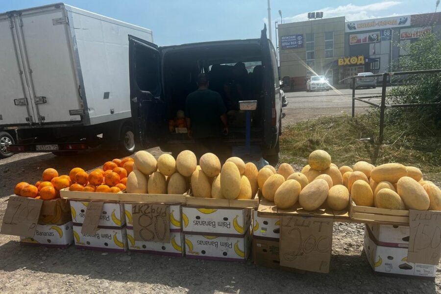 Четыре грузовика и 6 тонн бахчевых отобрали у мигрантов-торговцев в Новосибирске