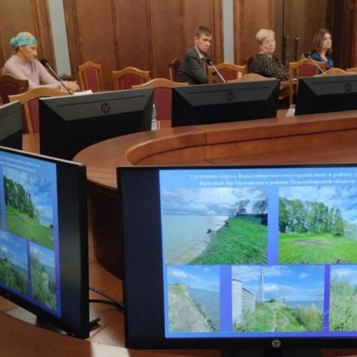 В Новосибирске ищут подрядчика для подготовки проекта берегоукрепления села Красный Яр