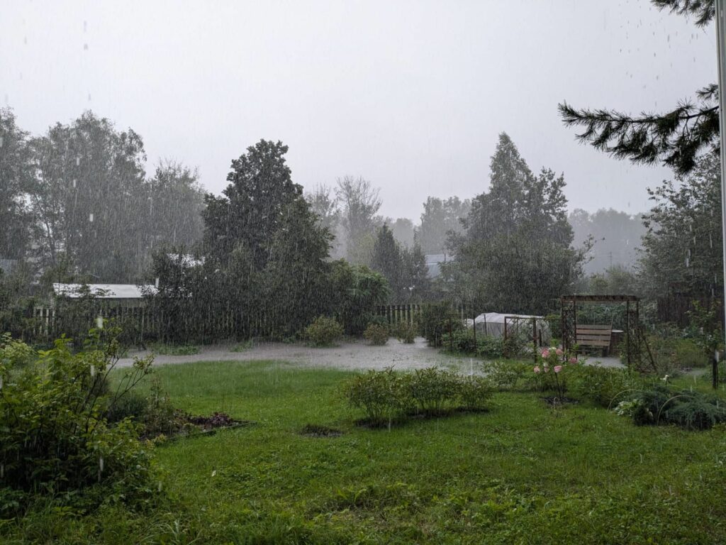 Вода с новосибирского жилмассива топит дачи в Первомайке