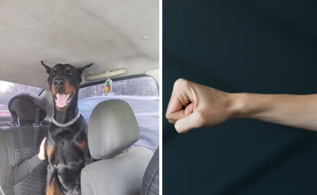 Муж избил собаку на глазах у бывшей жены в Новосибирске