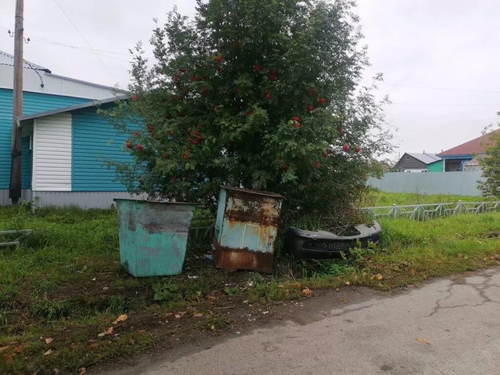 Прокуратура добилась обустройства мусорных контейнеров в поселке Новосибирской области