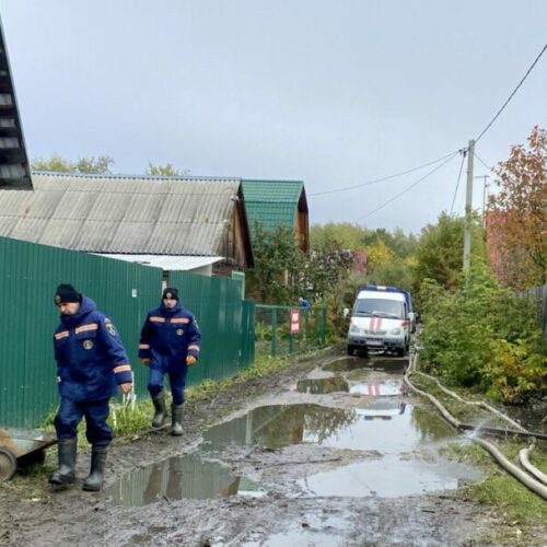 Пятый день спасатели откачивают воду из СНТ в Новосибирске