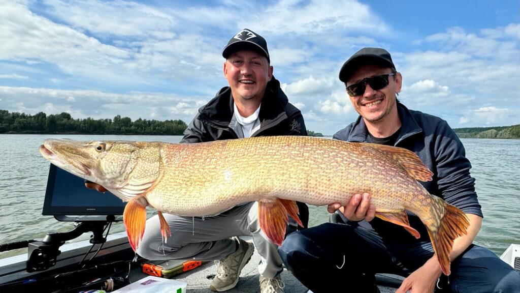 Гигантскую щуку-фотомодель поймали рыбаки Новосибирска