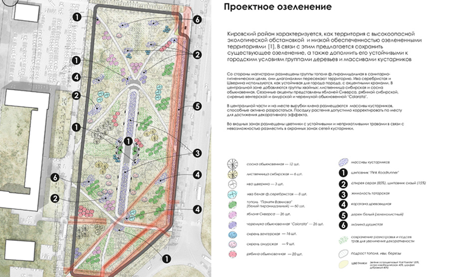 В дизайн-проекте сквера «Элсиб» в Новосибирске жители увидели слишком много колючих растений