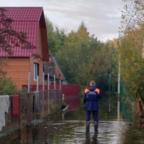 Спасатели неделю откачивают воду с дачных участков в Первомайском районе Новосибирска