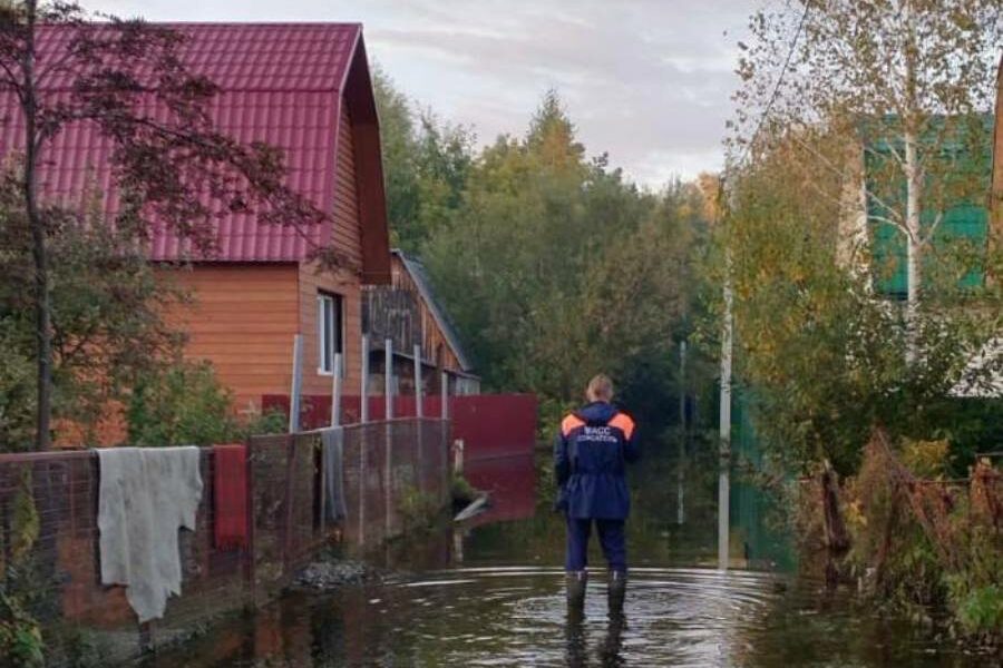 Спасатели неделю откачивают воду с дачных участков в Первомайском районе Новосибирска