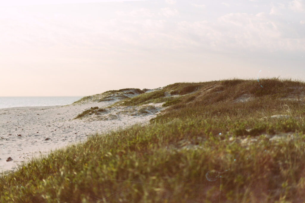 В Новосибирске хотят ввести режим повышенной готовности из-за обрушения берега реки