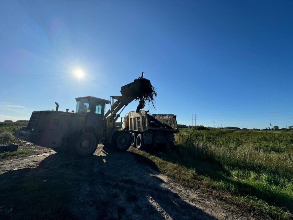 Несколько несанкционированных свалок ликвидировали в Новосибирской области