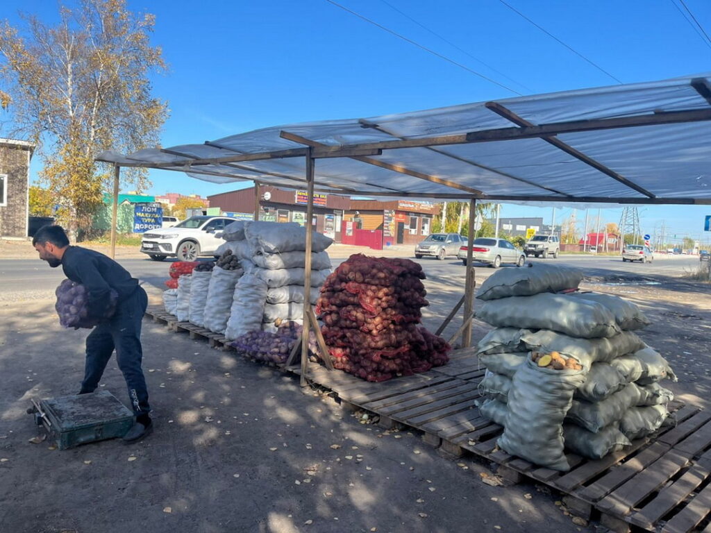 Почти 3 тонны картошки изъяли с точки незаконной торговли в Новосибирске