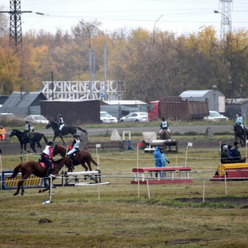 Первенство России по конному спорту завершилось в Новосибирске