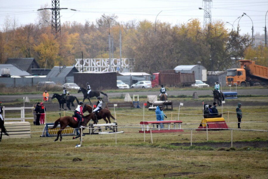 Первенство России по конному спорту завершилось в Новосибирске