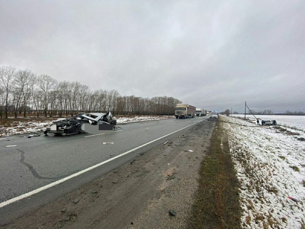 Женщина-водитель погибла на трассе Новосибирск — Барнаул