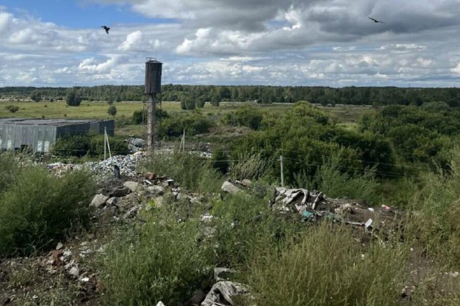 В отношении начальника Левобережной свалки возбудили уголовное дело