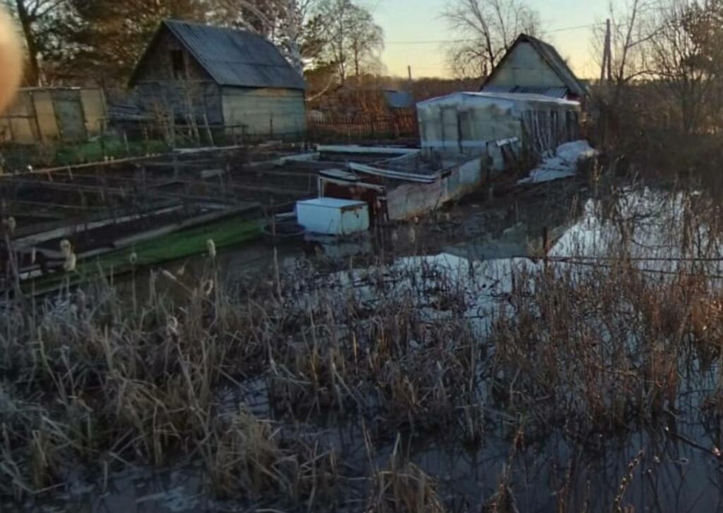 Мэрию Новосибирска обязали почистить ливневку на дачах в Калининском районе