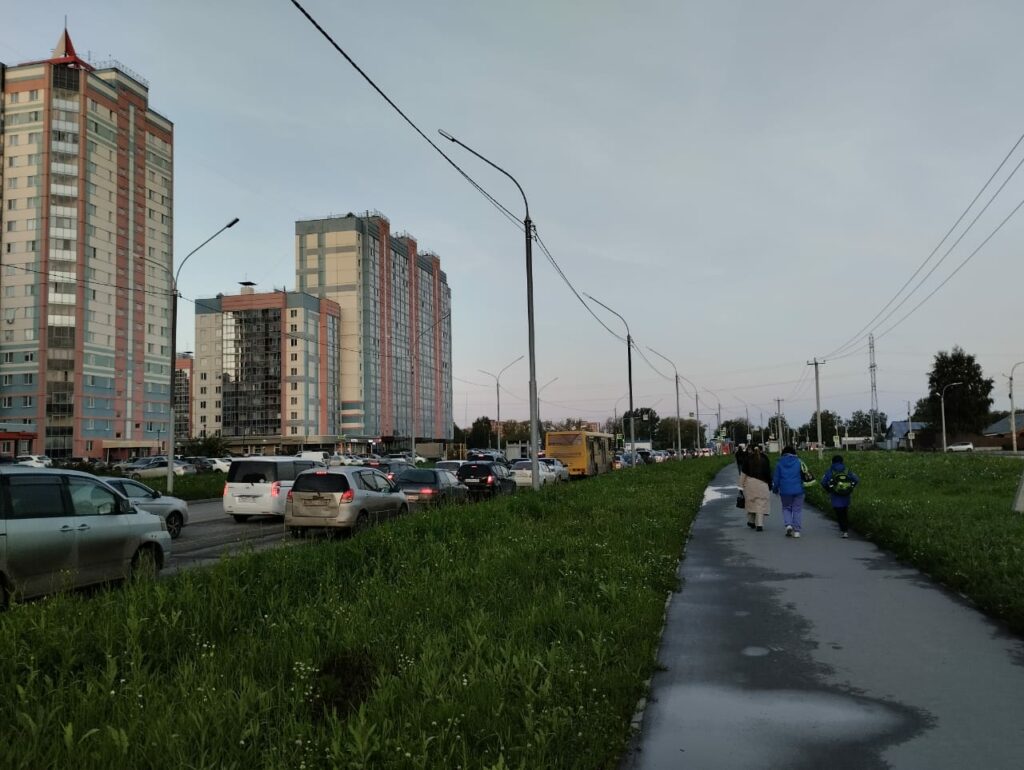 Подписи за остановку нового строительства собирают в жилмассиве Новосибирска