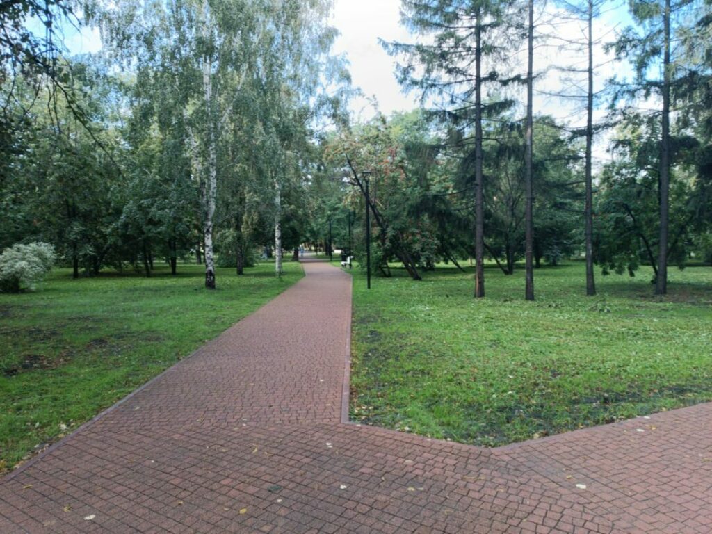 Подрядчик Первомайского сквера не отдает документы мэрии Новосибирска