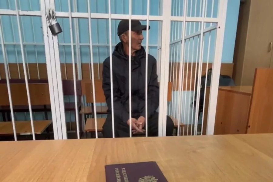 Водителя, обвиняемого в смерти ребенка на Петухова, заключили под стражу в Новосибирске