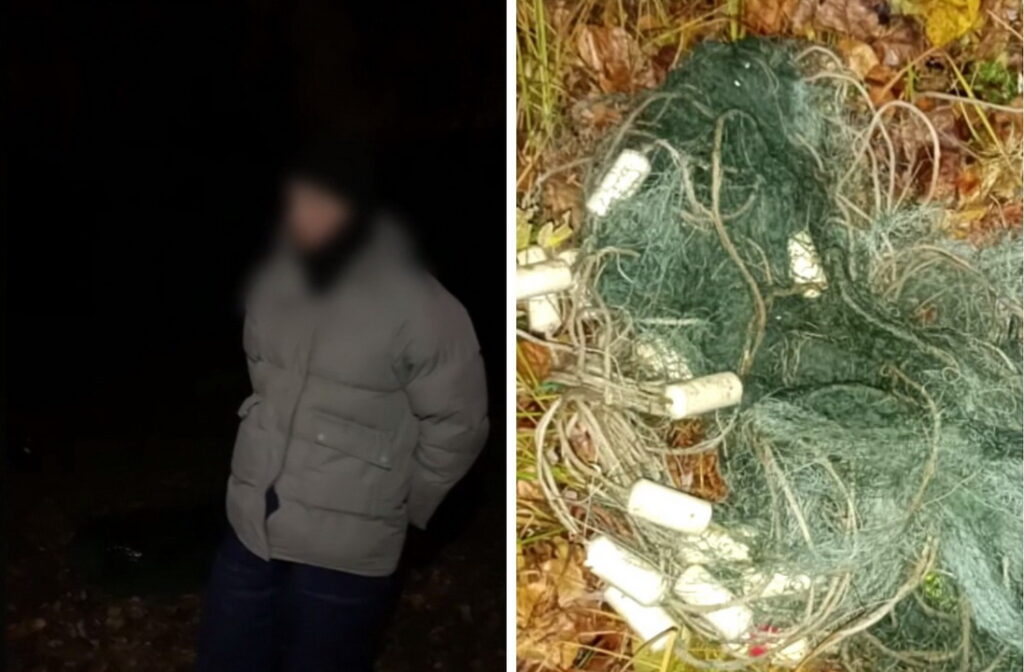 Более 200 экземпляров рыбы незаконно выловил житель Новосибирска