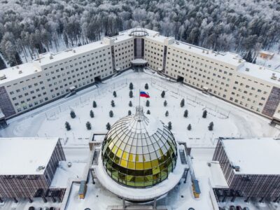 В НГУ установили возраст мумии саблезубого котенка