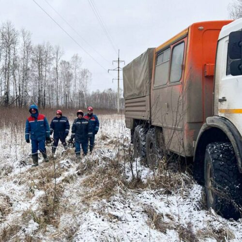 Из-за ветра 11 районов в Новосибирской области остались без света