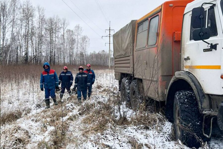 Из-за ветра 11 районов в Новосибирской области остались без света